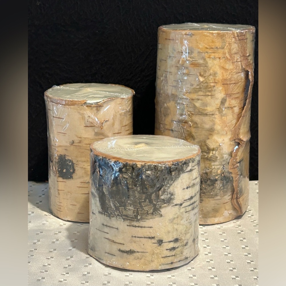 3 Pottery Barn Birch Bark Real Wax Pillar Candles Unscented  Cabin Nature Decor
